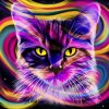 Colorful Cat paint by numbers