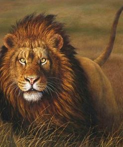 Grassland Beast Lion paint by numbers