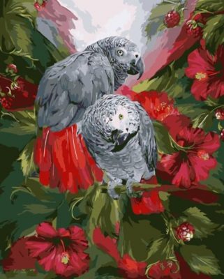 Gray Parrot paint by numbers