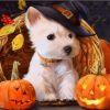 Halloween Dog paint by numbers