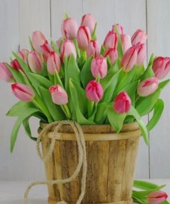 Bucket Of Tulips paint by numbers