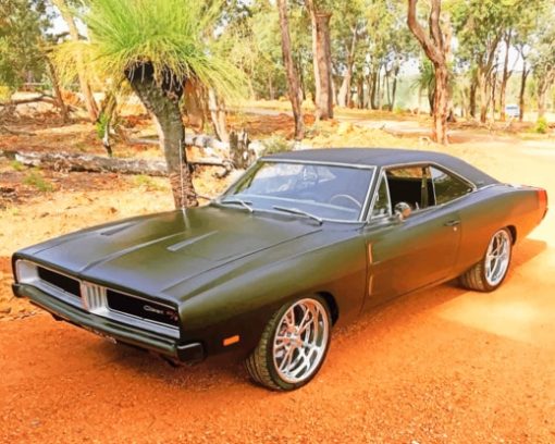 1969 Dodge Charger Matte Black pain by numbers