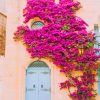 Floral Medina Gate paint by numbers