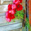 Beautiful Old Door And Flowers paint by numbers