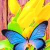 Yellow Tulip And Blue Butterfly paint by numbers