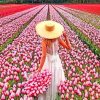 Woman In Field Of Pink Flowers paint by numbers