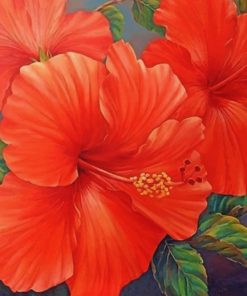 Red Hibiscus paint by numbers