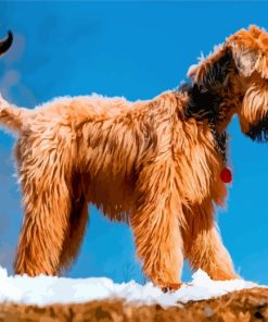 golden-wheaten-terrier-paint-by-numbers