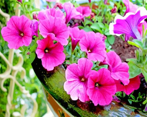 Blooming Pink Petunia Paint by numbers