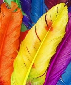 Colorful-Feathers-paint-by-numbers-1