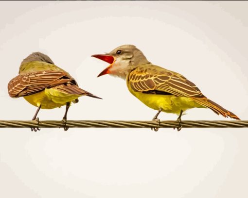 Finches On Wire Paint by numbers