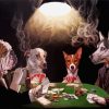 Gambling Dogs Playing Paint by numbers