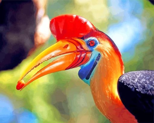 Hornbill Bird Animal Paint by numbers