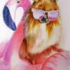 aesthetic-pomeranian-paint-by-numbers