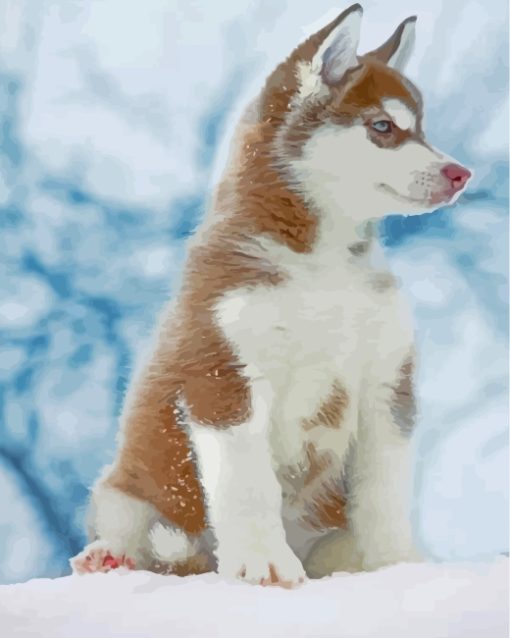 brown-husky-snow-paint-by-numbers