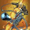 Ghost Rider Marvel Paint by numbers