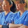 meredith-and-cristina-paint-by-numbers