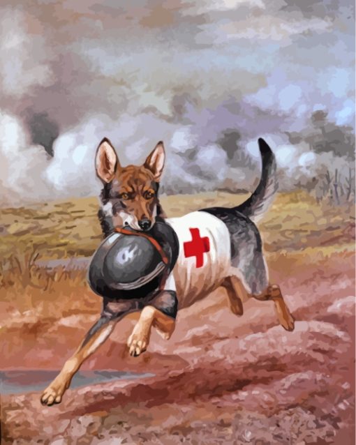 red-cross-dog-paint-by-numbers