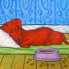 Sleeping Dachshund paint by numbers