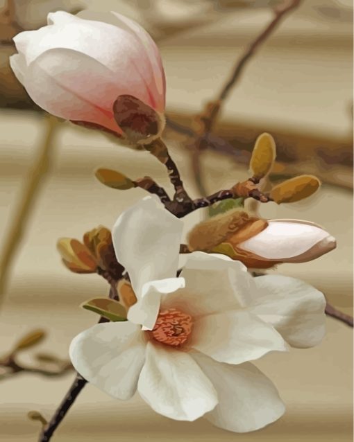 white-magnolia-flower-paint-by-numbers