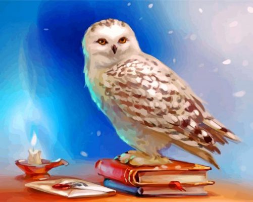 Hedwig Owl Paint by number