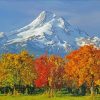 Autumn Mt Hood Oregon paint by numbers