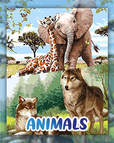 Animals