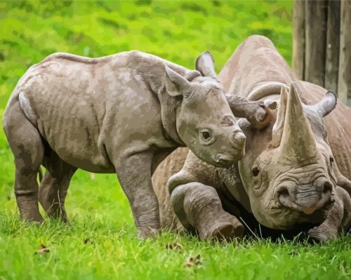 Baby Rhino Pestering Its Mom Paint By Numbers