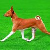 Basenji Dog Paint By Numbers