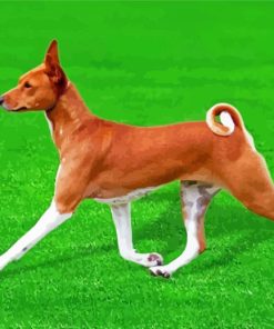 Basenji Dog Paint By Numbers