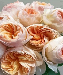 Blooming Juliet Roses Paint By Numbers