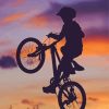 Boy With Bike Sunset Silhouette Paint By Numbers