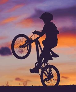 Boy With Bike Sunset Silhouette Paint By Numbers