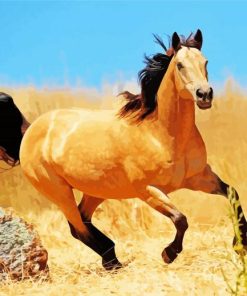 Buckskin Horse Running Paint By Numbers