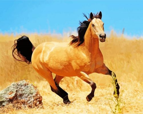 Buckskin Horse Running Paint By Numbers