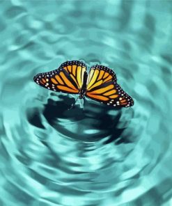 Butterfly On Water Paint By Numbers