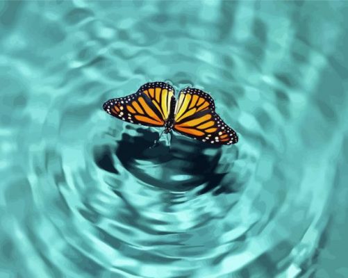 Butterfly On Water Paint By Numbers