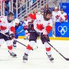 Canada Hockey Paint By Numbers