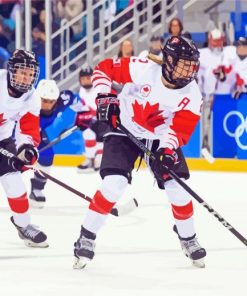 Canada Hockey Paint By Numbers