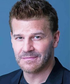 David Boreanaz Actor Paint By Numbers