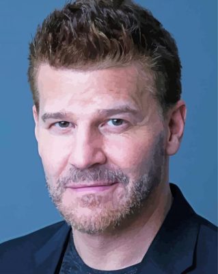 David Boreanaz Actor Paint By Numbers