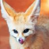 Desert Fennec Fox Animal Paint By Numbers