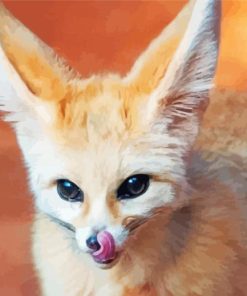 Desert Fennec Fox Animal Paint By Numbers