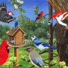 Garden Bird Feeder Paint By Numbers