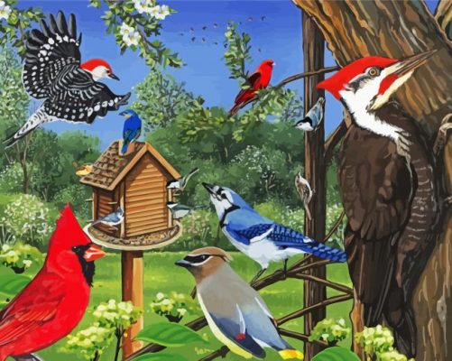 Garden Bird Feeder Paint By Numbers