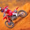 German Racer Ken Roczen Paint By Number