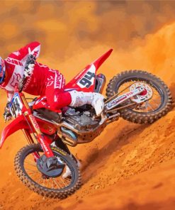 German Racer Ken Roczen Paint By Number