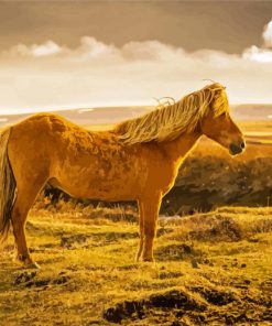 Golden Mare Horse In Pasture Paint By Numbers