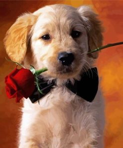 Golden Puppy With Red Rose Paint By Numbers