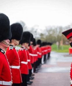 Grenadier Guards Paint By Numbers